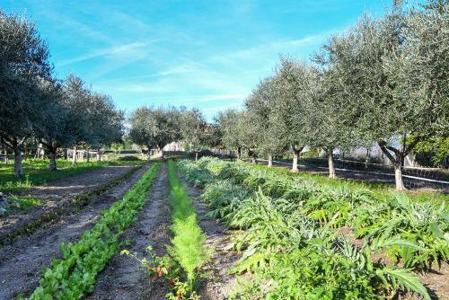Agroturismo Casa Zafferano