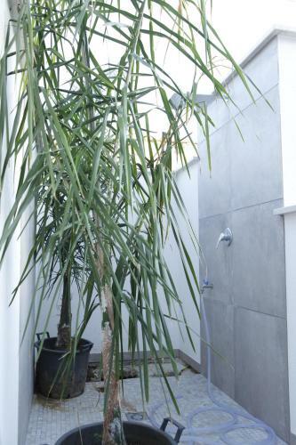 La Casa Della Nonna