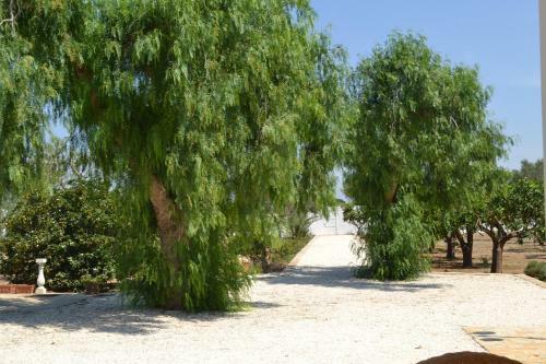 Bed & Breakfast Tenuta Arate