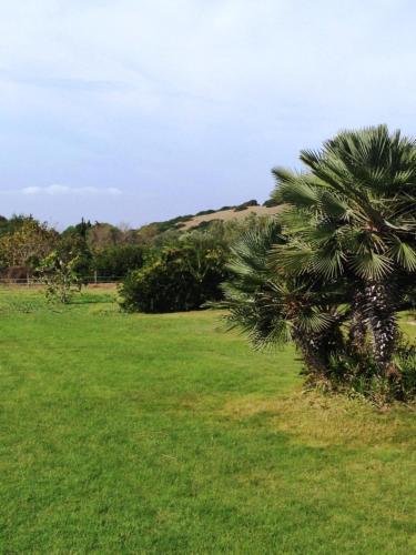 Villa Moresca B4