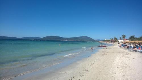 Apartment Alghero/insel Sardinien 31453