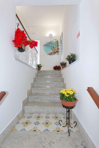 Hostal Villa Serena With Sea View