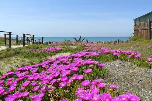 Apartamento Holiday Flat Anzio - Ila02341-p