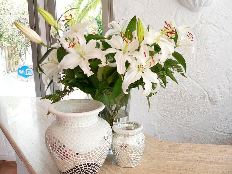 Hotel Boutique Bon Rep�s