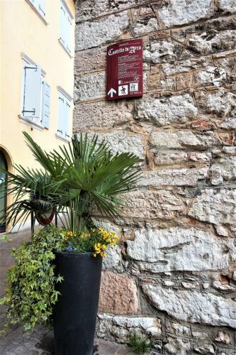 Apartamento Arco Living
