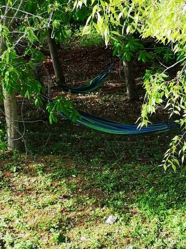 Agroturismo Agriturismo Il Noceto
