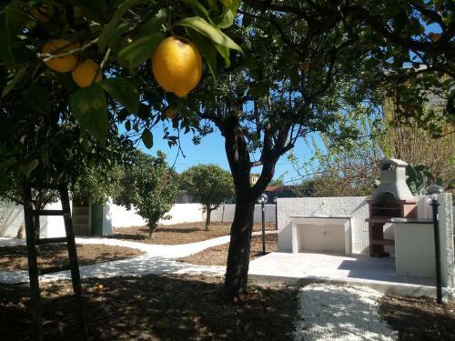 Apartamento Villa Del Falso Pepe