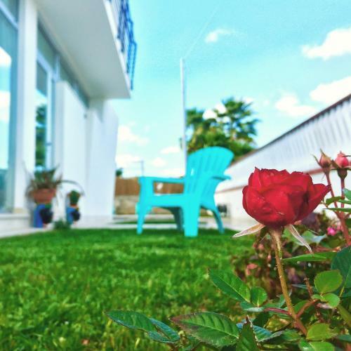 Corte Sveva B&B