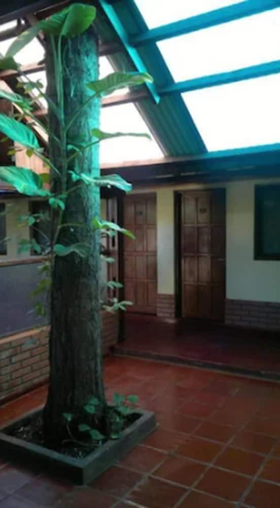 Hotel Hosteria Los Helechos