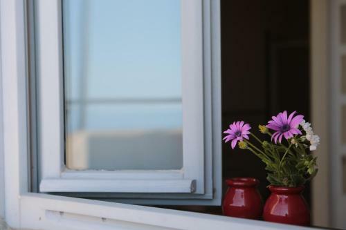 Bed & Breakfast Blu Oltremare