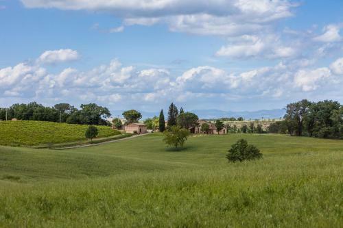 Buonconvento Villa Sleeps 20 Pool Air Con Wifi