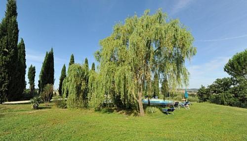 Buonconvento Villa Sleeps 3 Pool Wifi