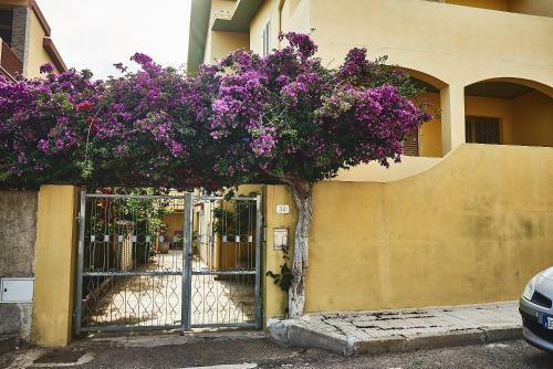 Apartamento Iris1