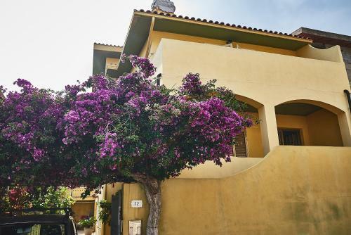 Apartamento Iris1