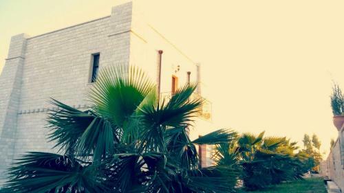 Bed & Breakfast Albadido