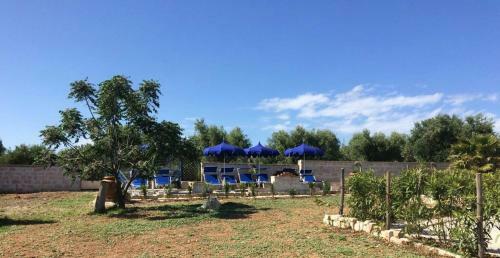 Bed & Breakfast Albadido