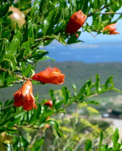 Agroturismo B&B Luna Ruja