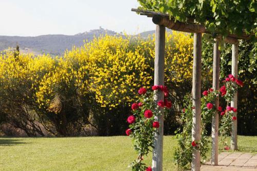 Agroturismo La Capalbiola