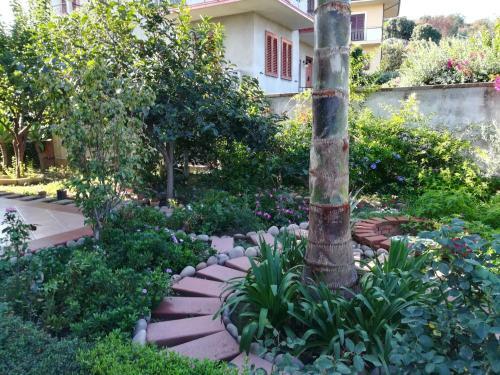 Bed & Breakfast La Collina Capo D'orlando