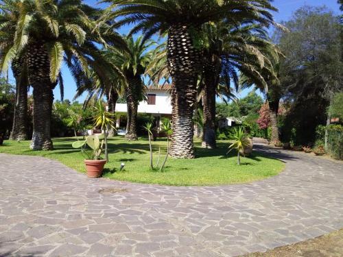 Apartamento Le Palme