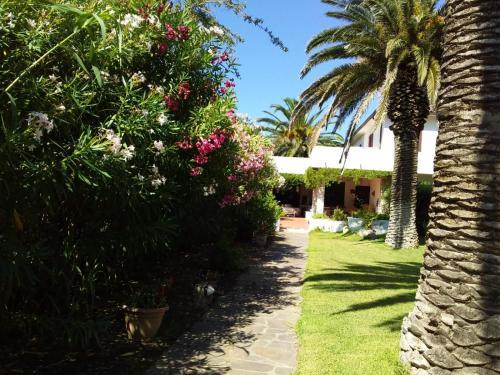 Apartamento Le Palme