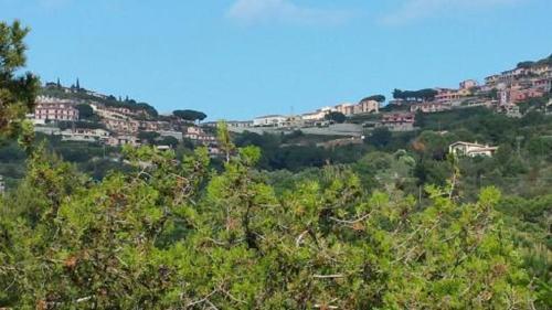 Apartamento Capoliveri: Villa Artistica App. 4/mono2