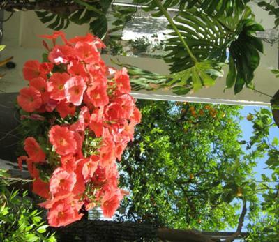 Albergo Italia - Vintage Hotel