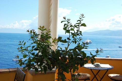 Bed & Breakfast La Terrazza Sul Mare