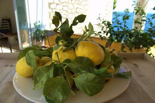 Bed & Breakfast La Terrazza Sul Mare