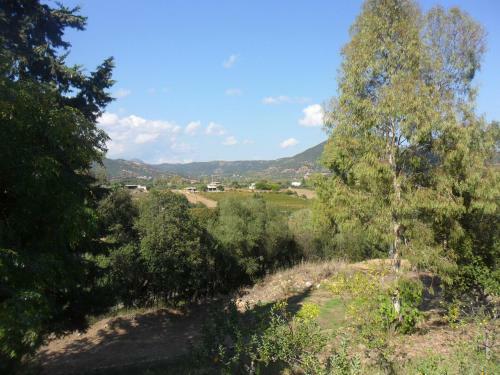 Apartamento Pinetrees