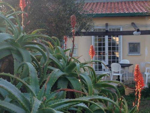 Bed & Breakfast Le Stanze Sul Mare