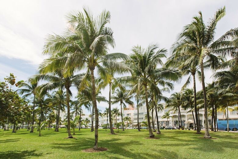Cardozo Hotel South Beach