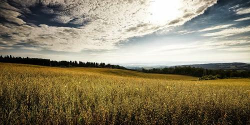 Il Castagno D'andrea Villa Sleeps 16 Pool