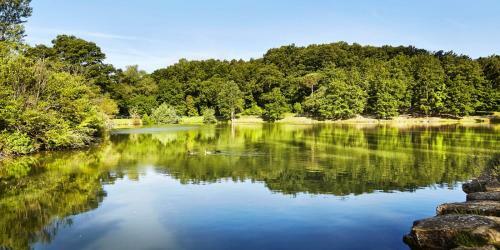 Il Castagno D'andrea Villa Sleeps 16 Pool