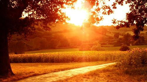 Bed & Breakfast Latte E Caff�