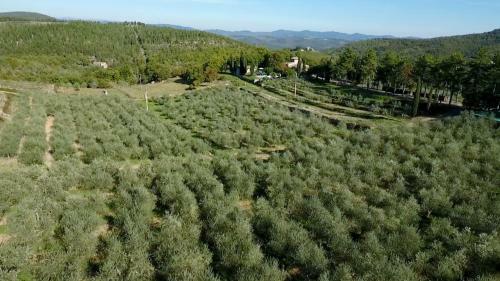 Apartamento Podere Sagna