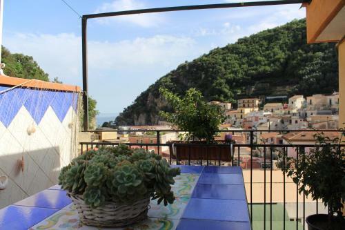 Bed & Breakfast Reginella