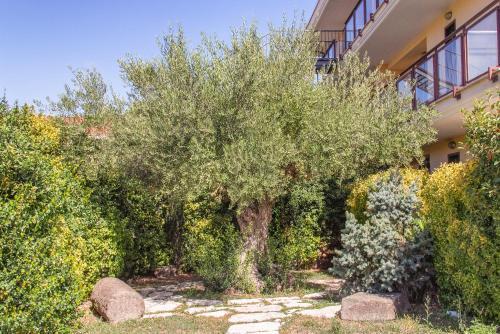 Excel Hotel Roma Ciampino