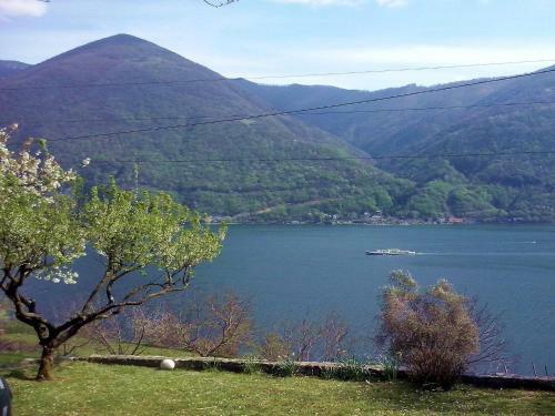 Casetta Nel Verde