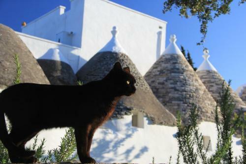 Bed & Breakfast Masseria Trulli Sull'aia