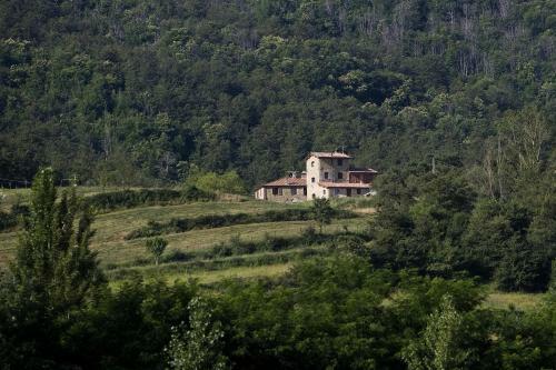 Agroturismo Agriturismo Il Cucciolo