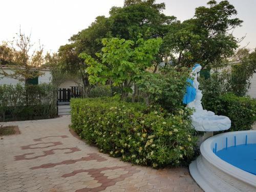 Bed & Breakfast Camping Costa Merlata