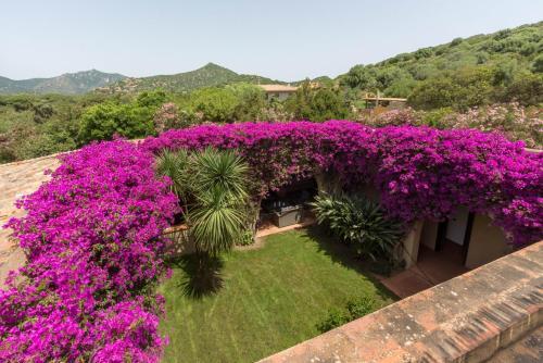 Villa Ferula, Serr'e Morus Villasimius