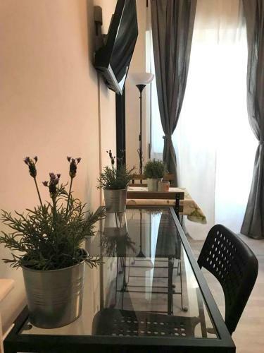 Mandala Bed & Breakfast