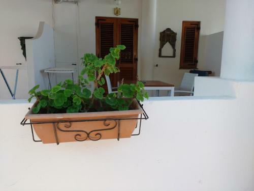 Apartamento Residence Al Mare