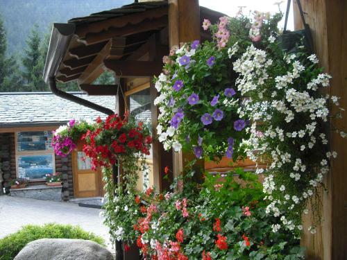 Camping Cimapiazzi