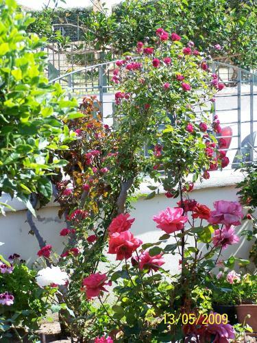 Villa Dei Fiori Pala