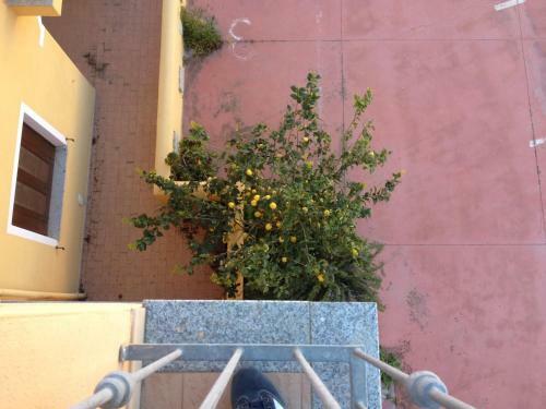 Modern 1bed Apartment(Sleep 4)sea View Only 700mt From Sea