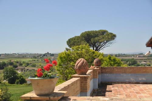 Apartment In Vasto/abruzzen 33470