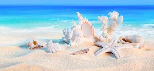 Bed & Breakfast L'ostello